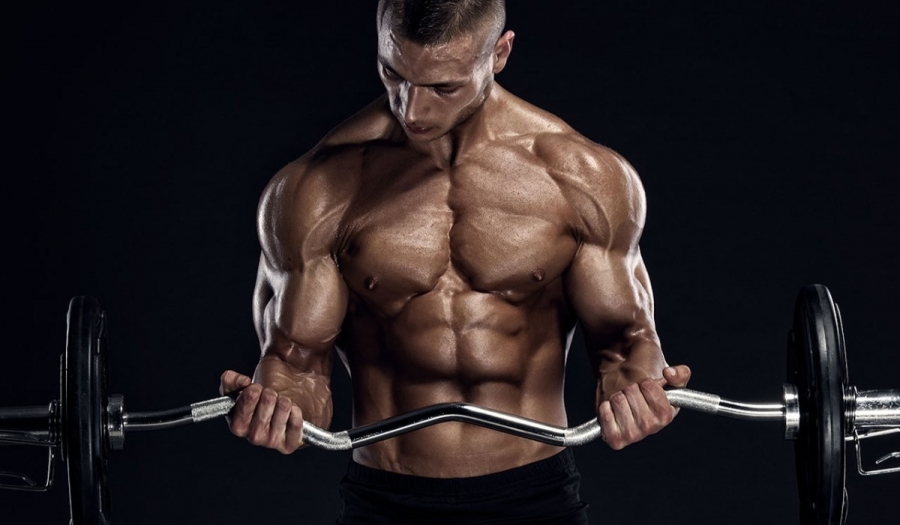 https://www.bodynutry.ind.br/images/noticias/grd/10-erros-no-treino-de-biceps-na-musculacao-veja-como-evitar__162e06.jpg
